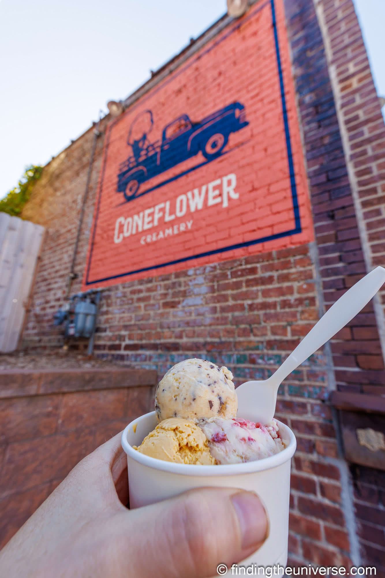 Coneflower ice cream Omaha by Laurence Norah