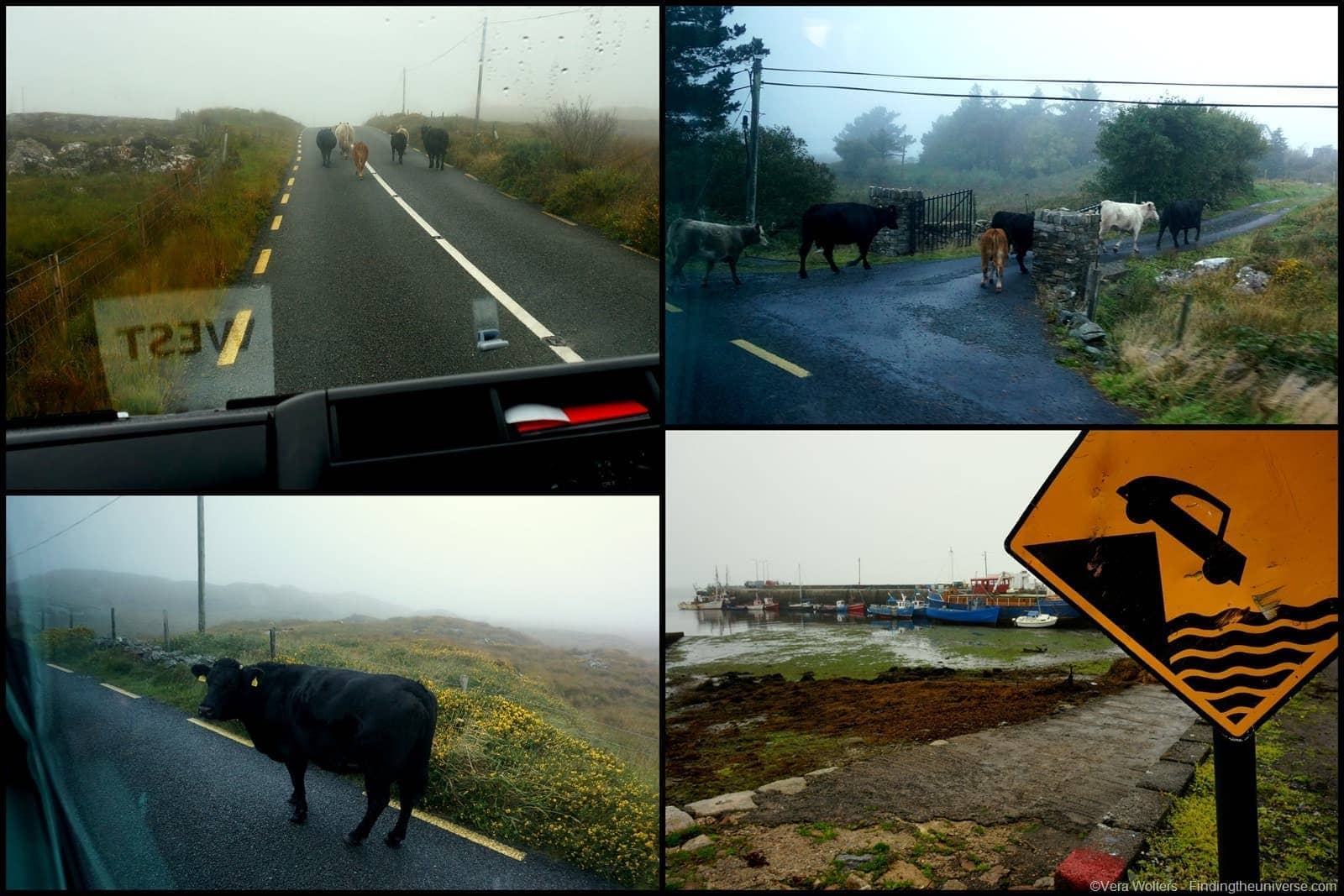 Galway and its Hookers