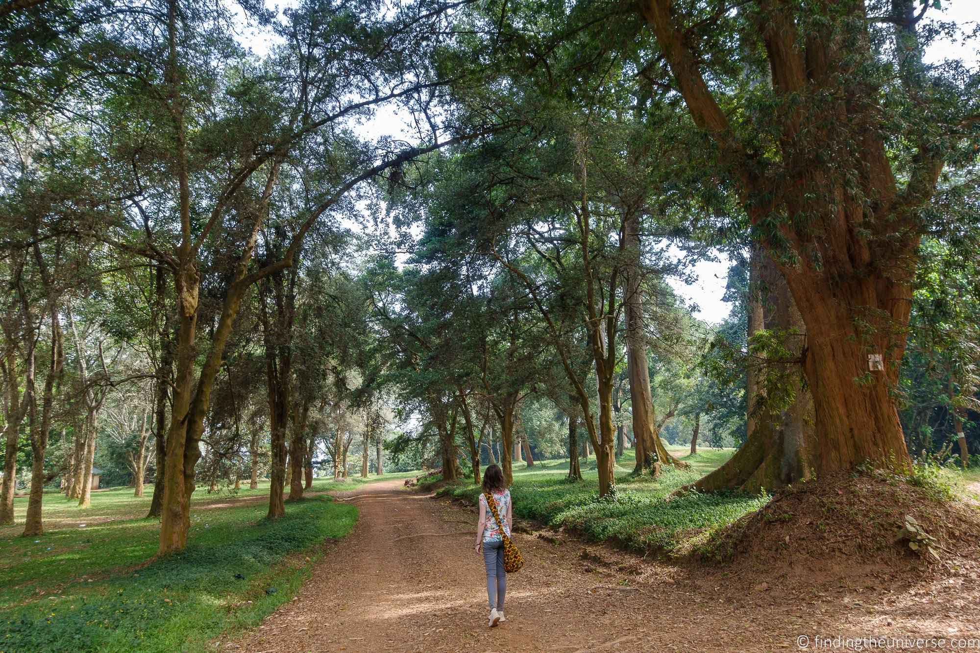 15 Things to do in Entebbe Uganda