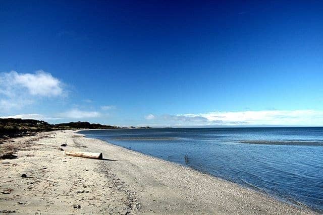 Farewell Spit Beach 2 Farewell Spit Beach 2