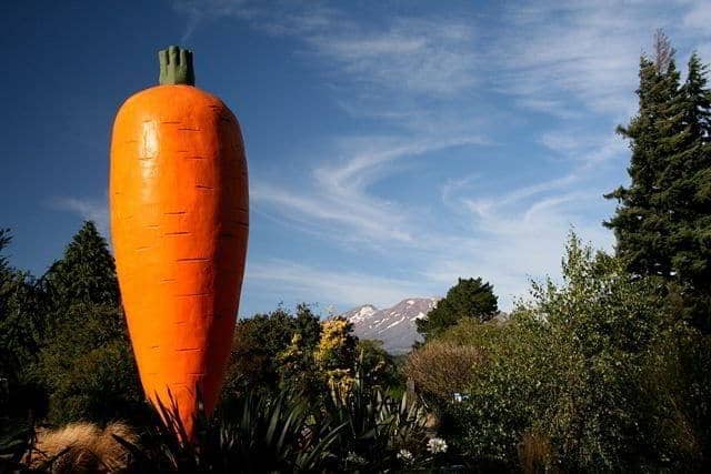 Giant Carrot of Ohakune Giant Carrot of Ohakune