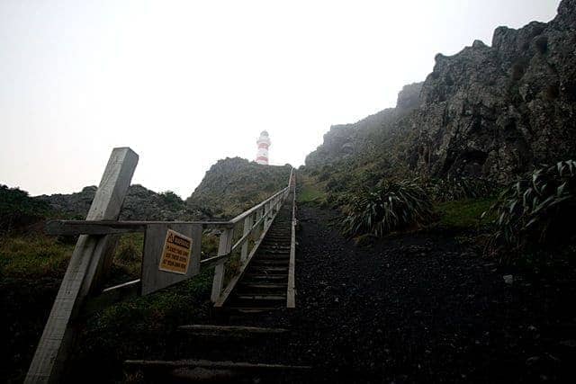 Dimholt: Walking the roads of the dead