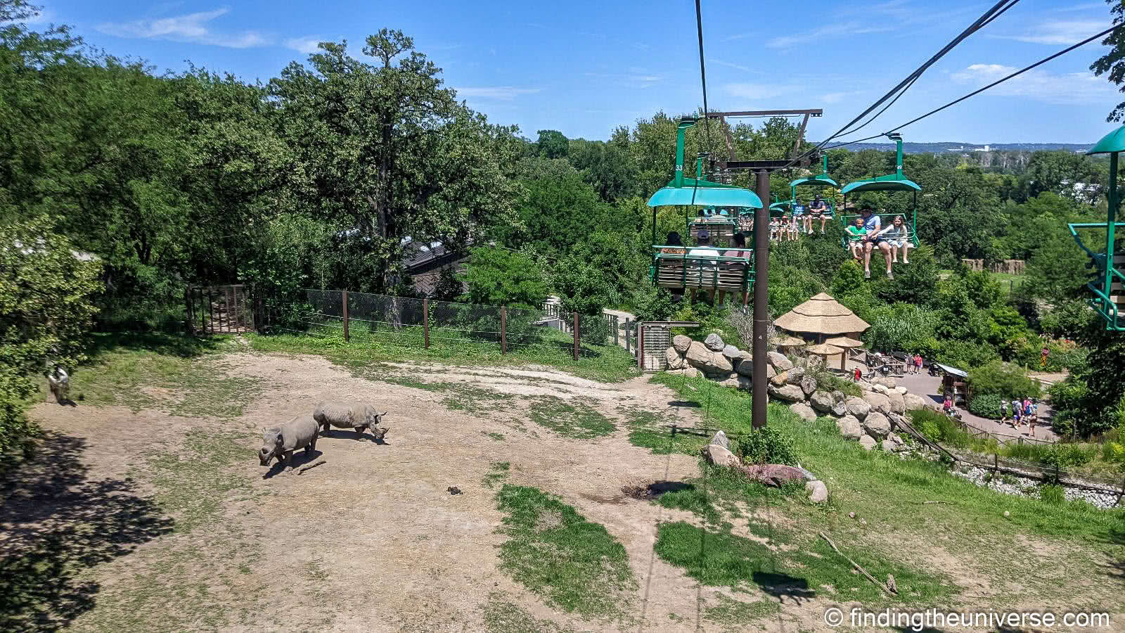 Omaha Zoo by Laurence Norah-3