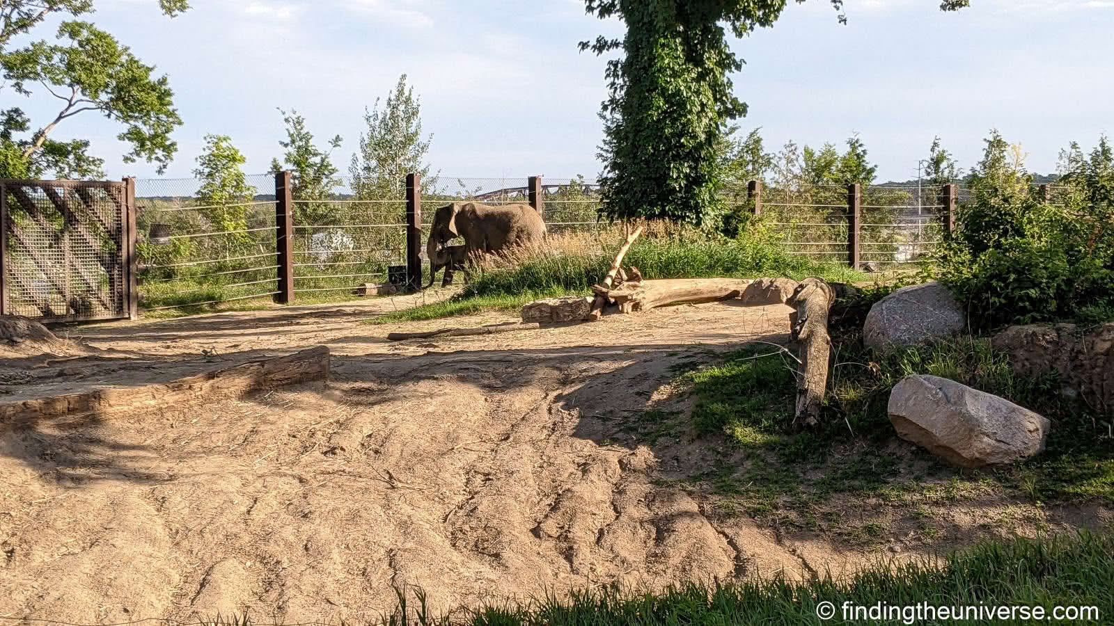 Omaha Zoo by Laurence Norah-6