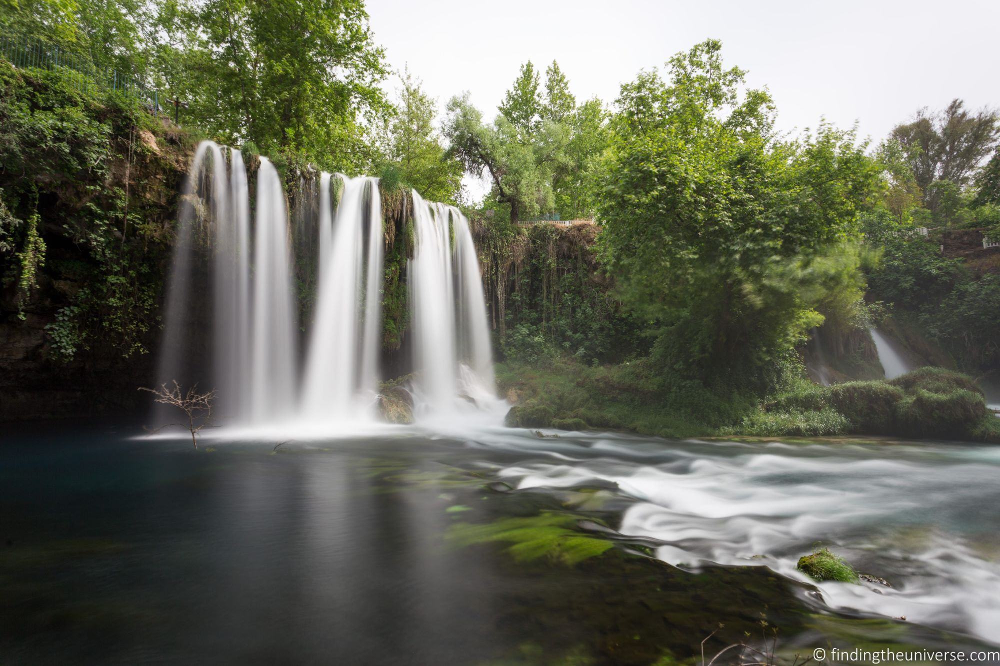 Original_resized_by_Laurence Norah