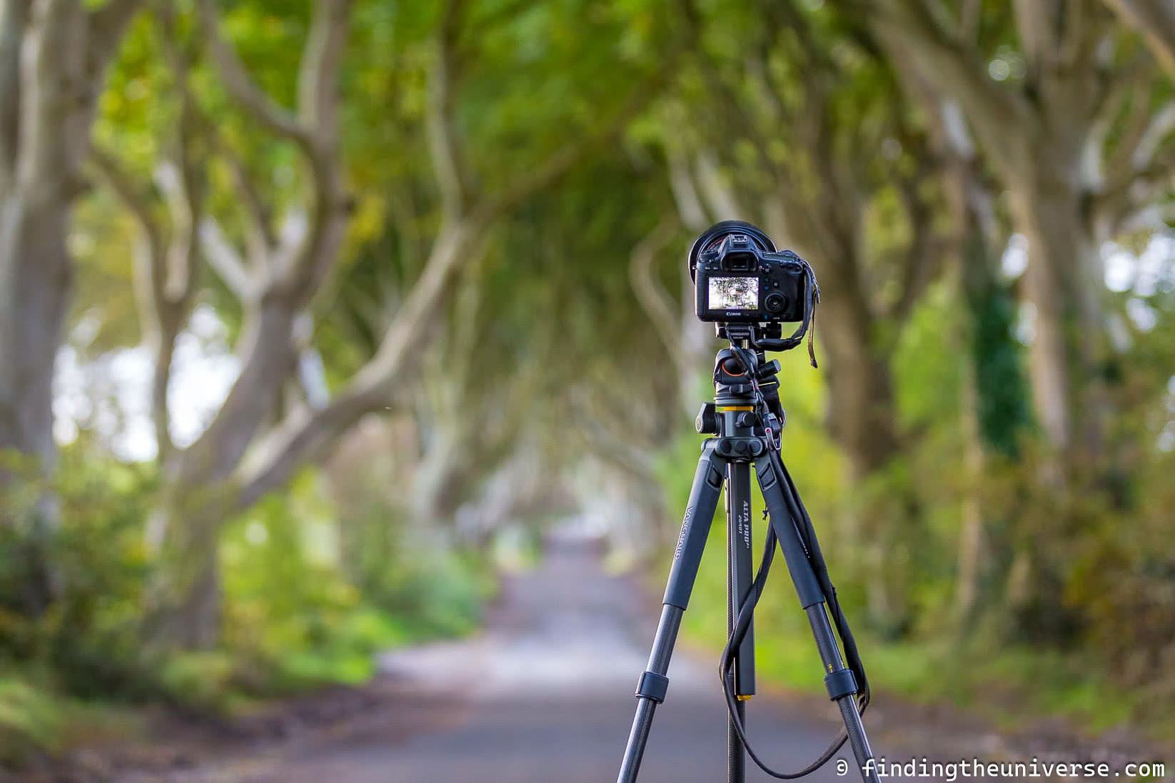 Peak Design Straps by Laurence Norah-2