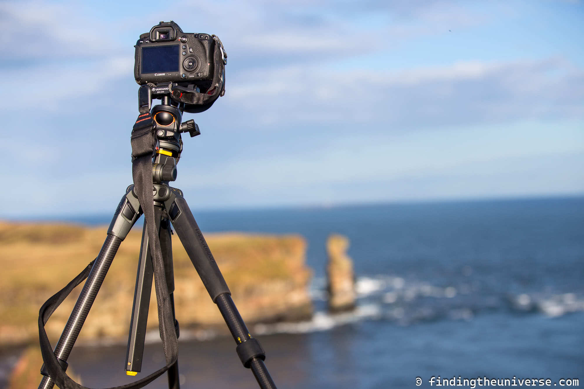 Peak Design Straps by Laurence Norah-5