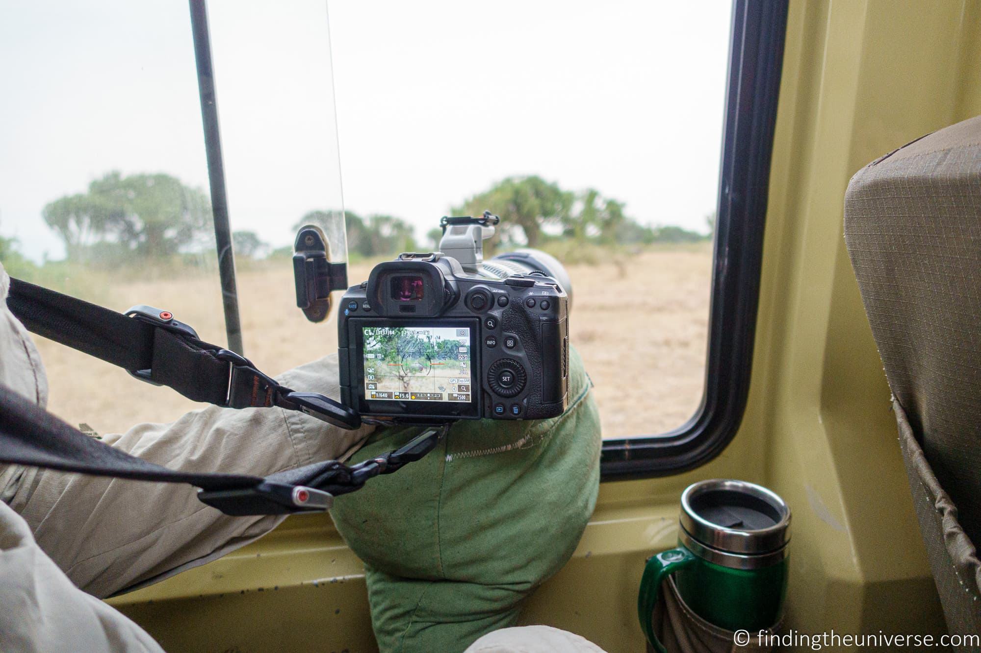 Photography bean bag safari