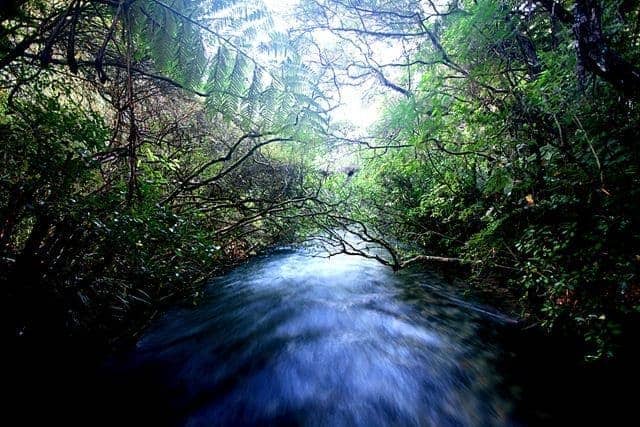 Pupu Springs Pupu Springs