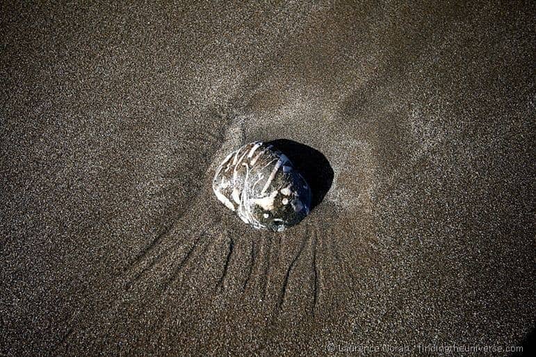 Rock in the sand Rock in the sand