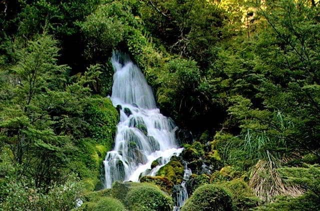 Waterfall next to Waitonga 2 Waterfall next to Waitonga 2
