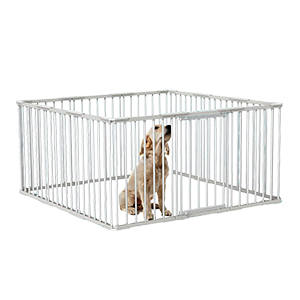 Shop Temple and Webster Kennels, Enclosures and Pens