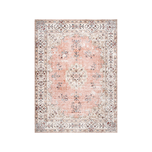 Shop Temple and Webster machine washable  rugs category